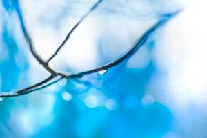 dbien mindfulness en Madrid