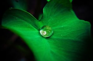 dbien mindfulness para principiantes