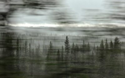 El estrés y cómo mindfulness ayuda