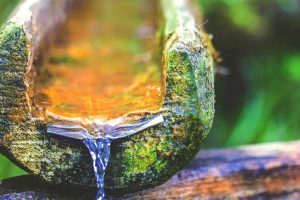 aumentar las emociones positivas a través del mindfulness