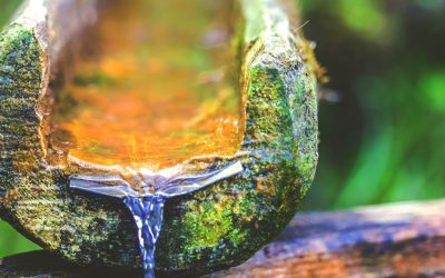 Aumentar las emociones positivas y disminuir las negativas con mindfulness