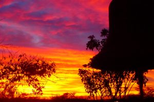 estrés telefono mindfulness
