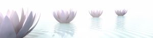 Clases-de-mindfulness-en-Madrid-Para-particulares