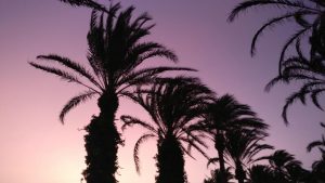 Clases mindfulness online principiantes